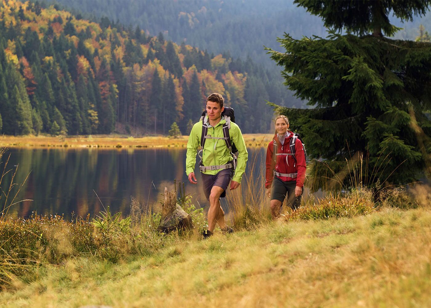 Wandern und Nordic Walking in der Region Donau-Wald