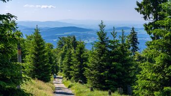 Wanderer auf einem Bergweg mit Panorama über den Bayerischen Wald nahe dem Gasthof Kammbräu