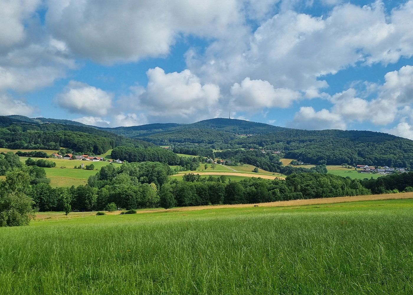 Panorama: Wiesen und Felder im Bayerischen Wald bei Zenting