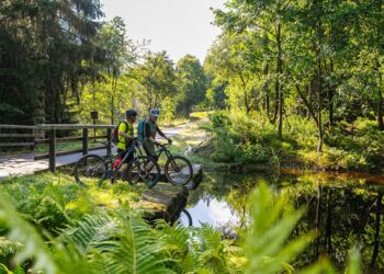 Mountainbiken, Rennradsport oder E-Biken im Landkreis Feyumg-Grafenau