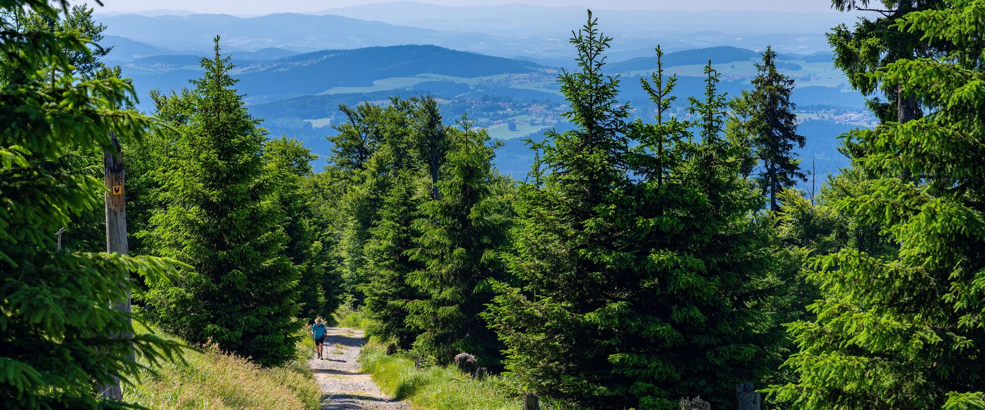 Wanderurlaub Bayerischer Wald