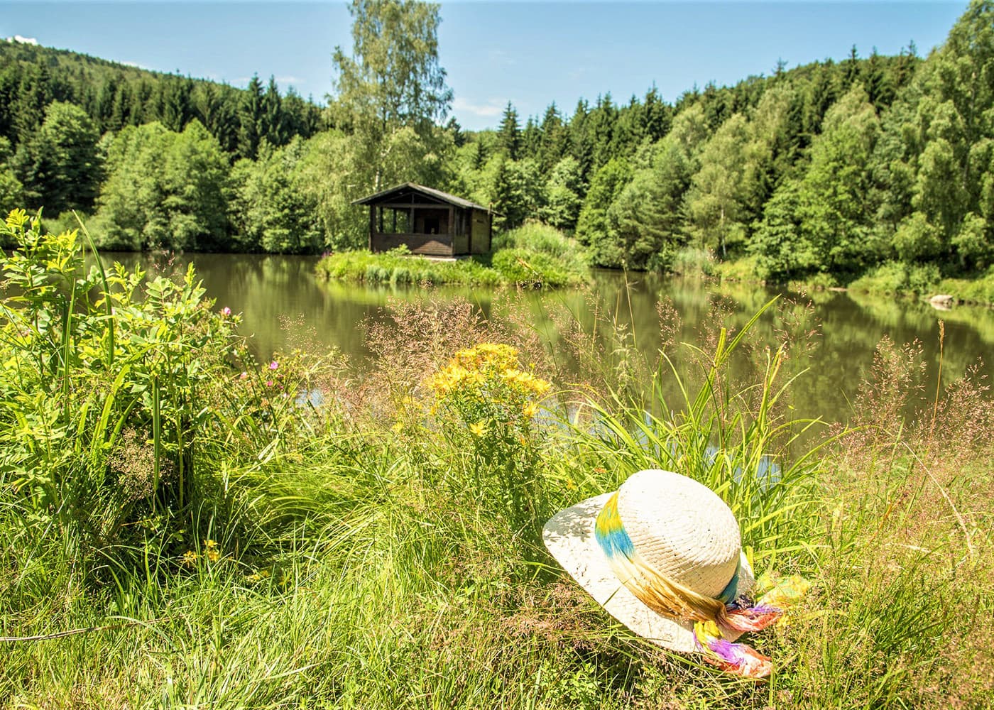 Gasthof Fischweiher mit Quellwasser